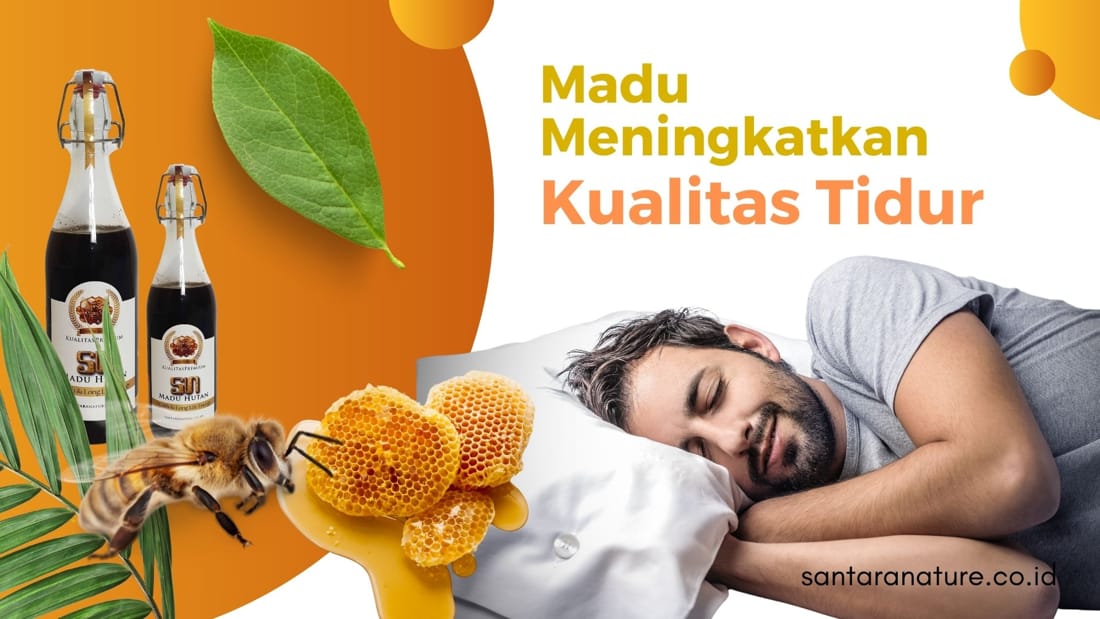 Madu Membantu Meningkatkan Kualitas Tidur