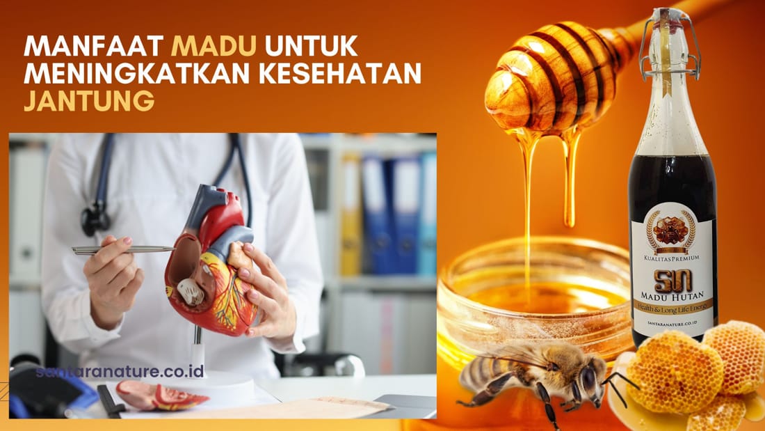 Manfaat Madu untuk Meningkatkan Kesehatan Jantung