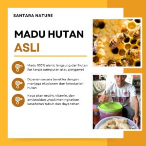 madu hutan sn hitam dan asli (2)