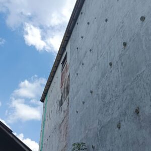 Sarang Burung Walet Premium kg - Gambar 3