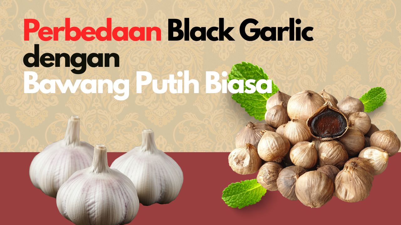 Perbedaan Black Garlic dan Bawang Putih Biasa