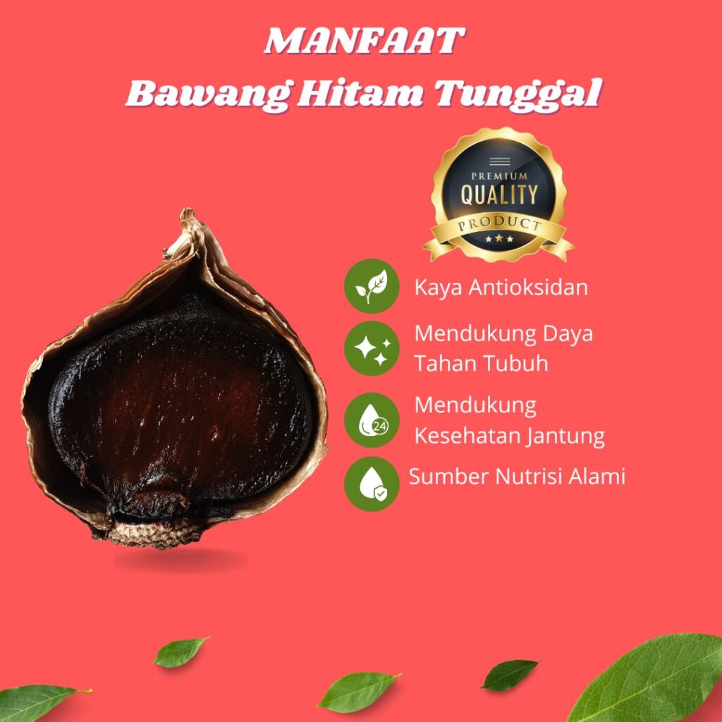 bawang tunggal black garlic (9)